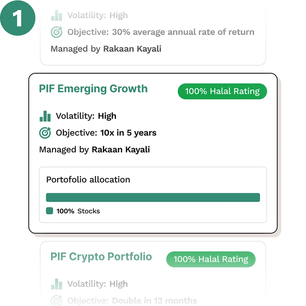 Pick a portfolio you like
